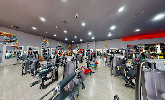 Golden Fitness
